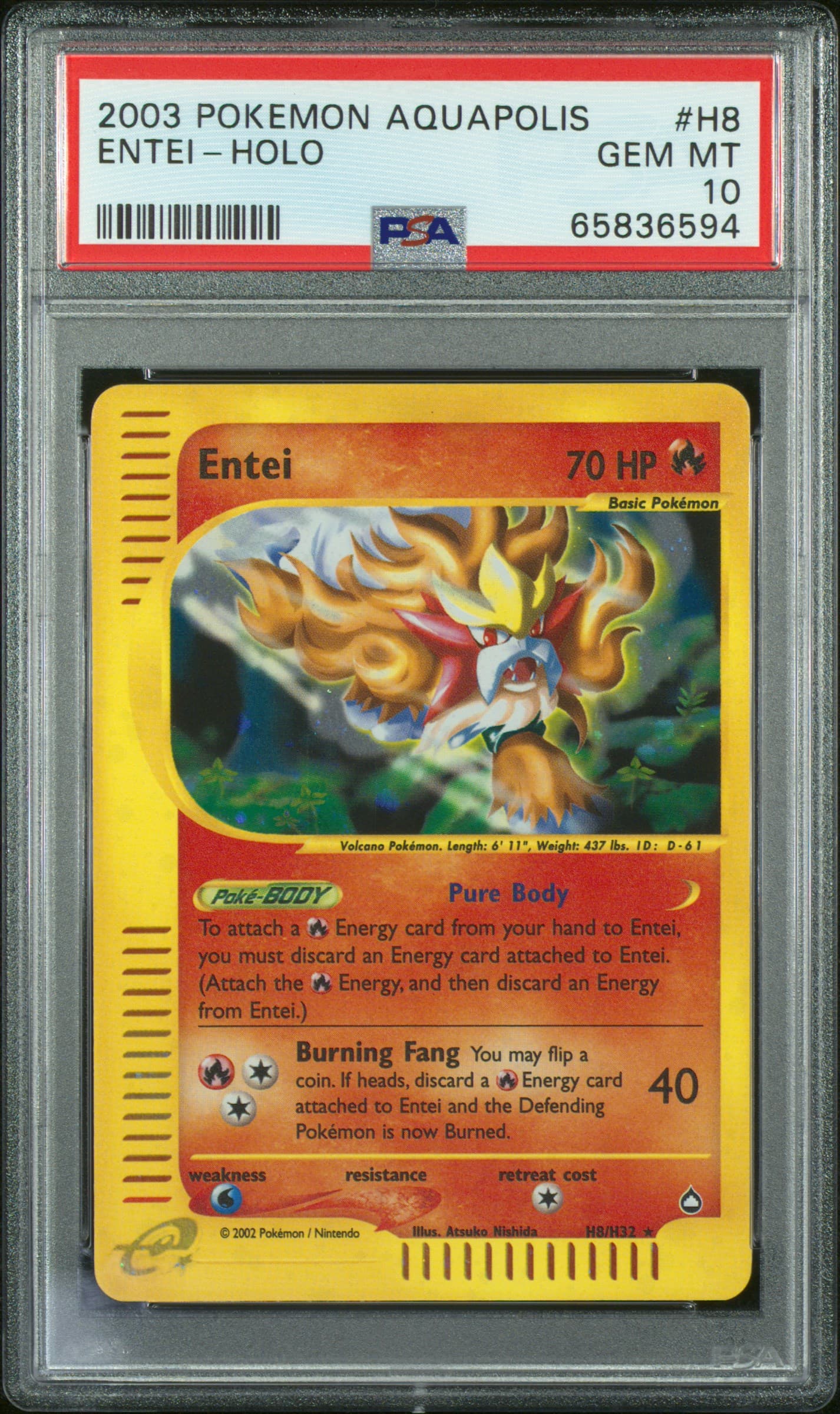 Entei-Holo