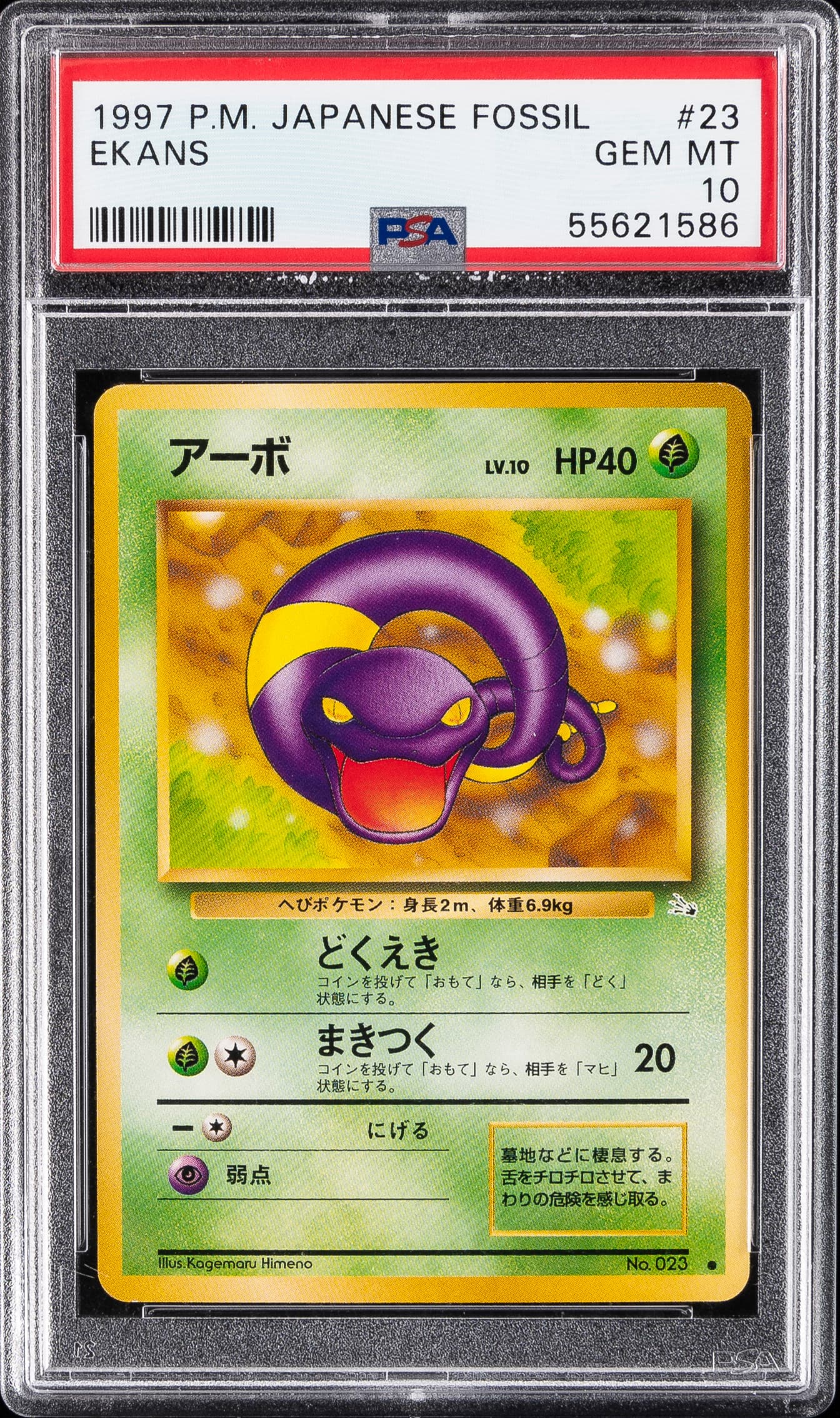Ekans