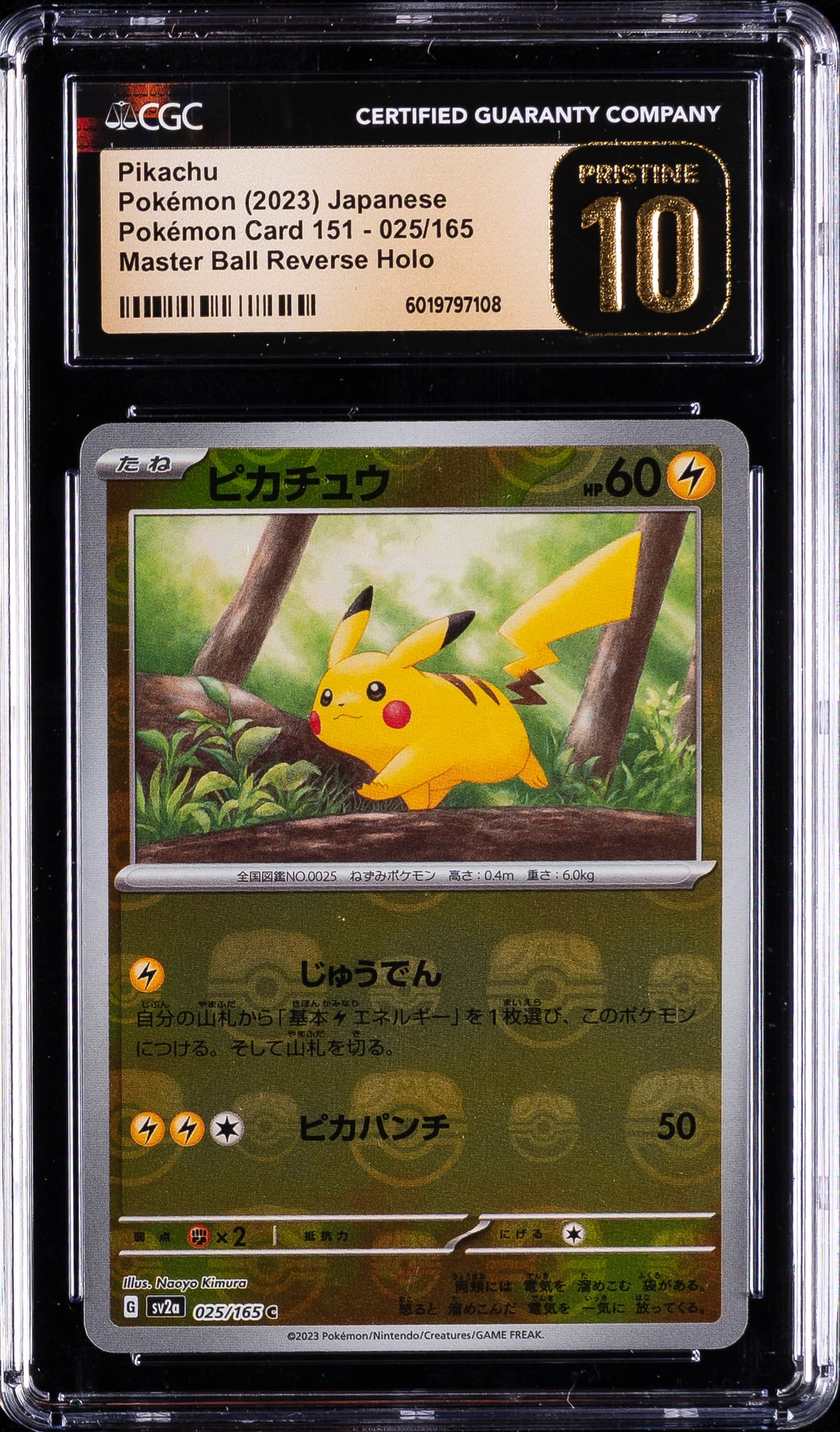 Pikachu Master Ball Reverse Holo
