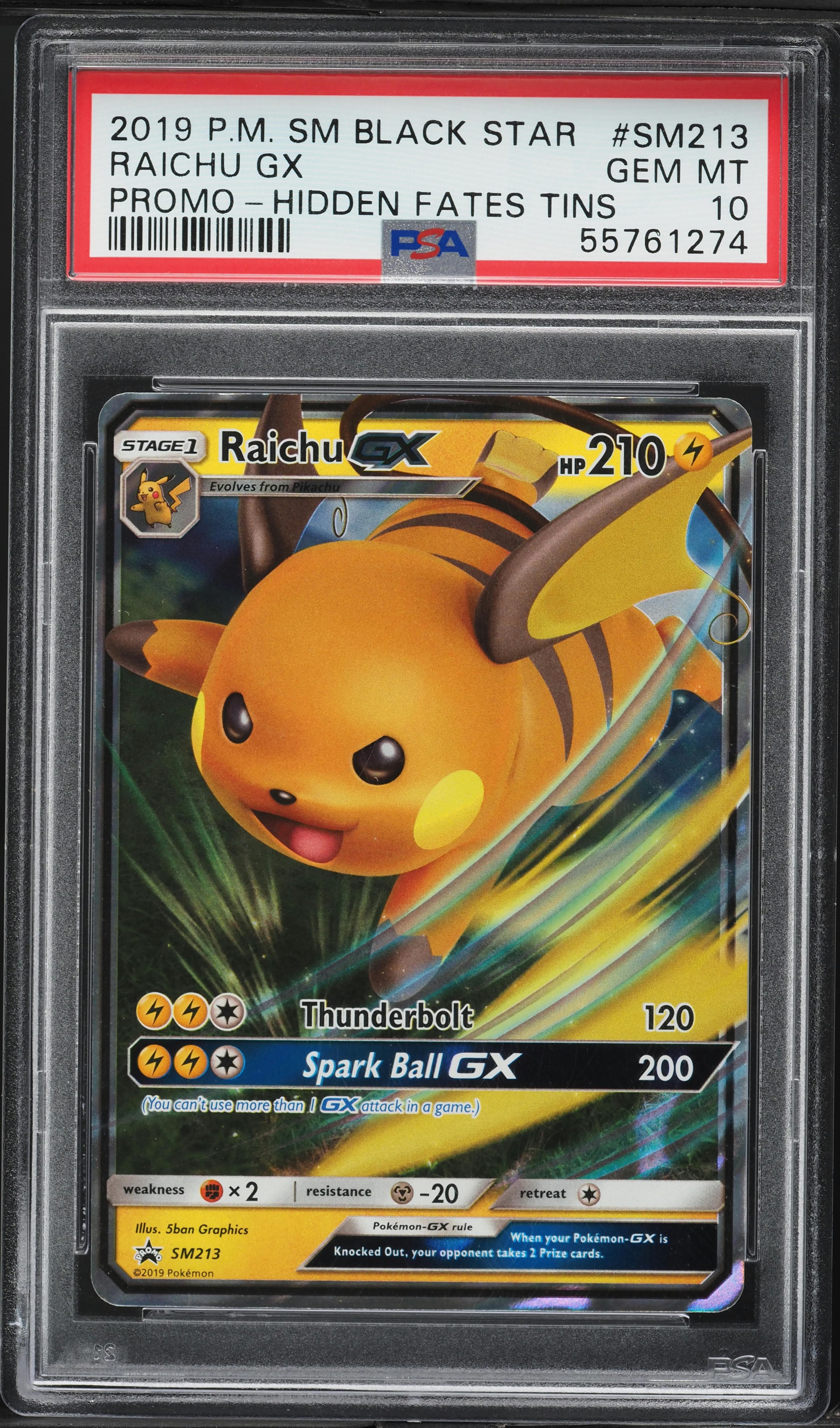 Raichu GX