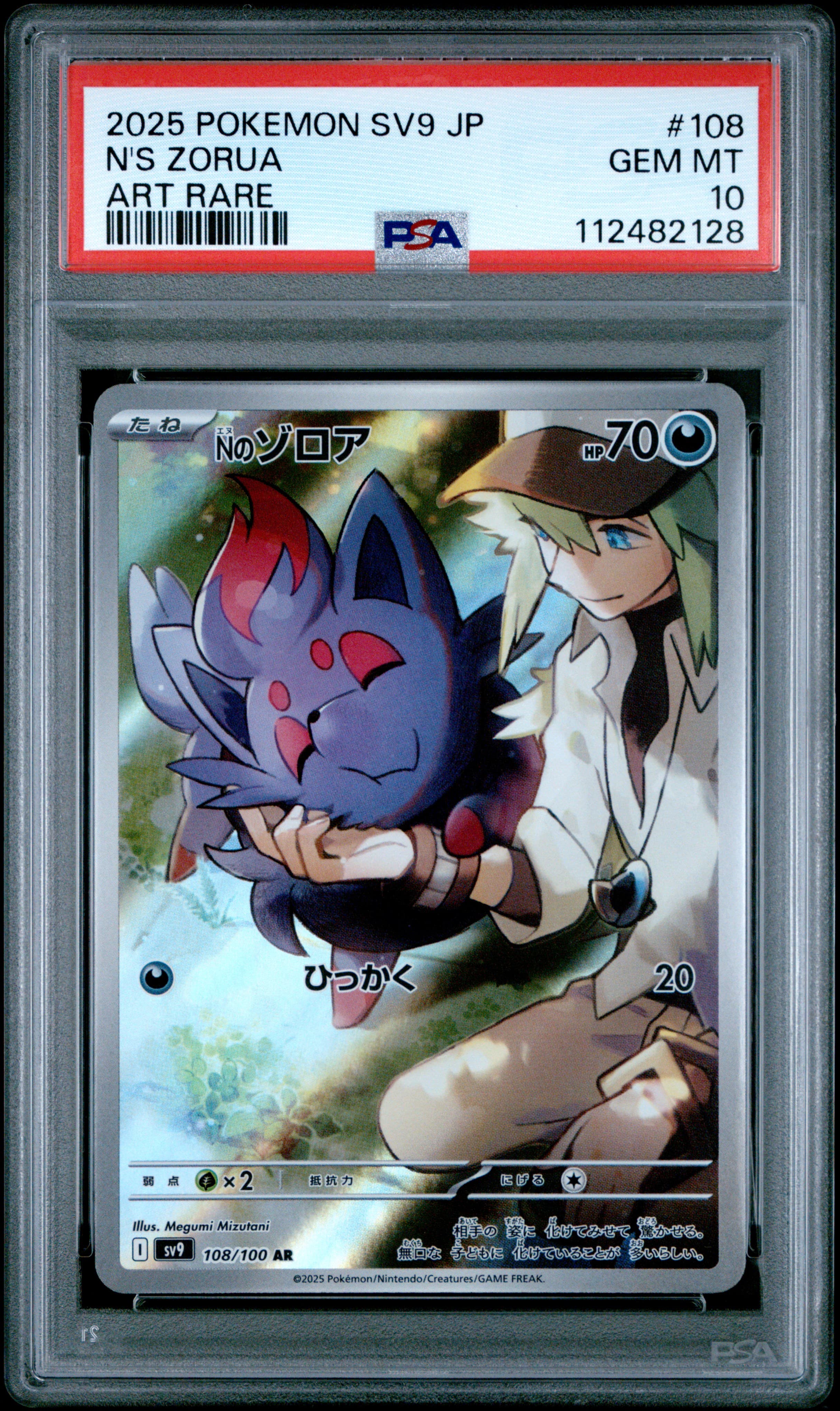 N's Zorua