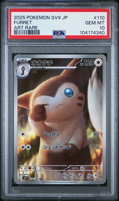 Furret