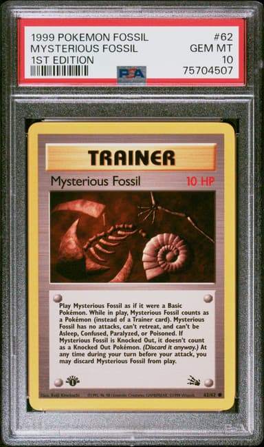 Mysterious Fossil 1st Edition