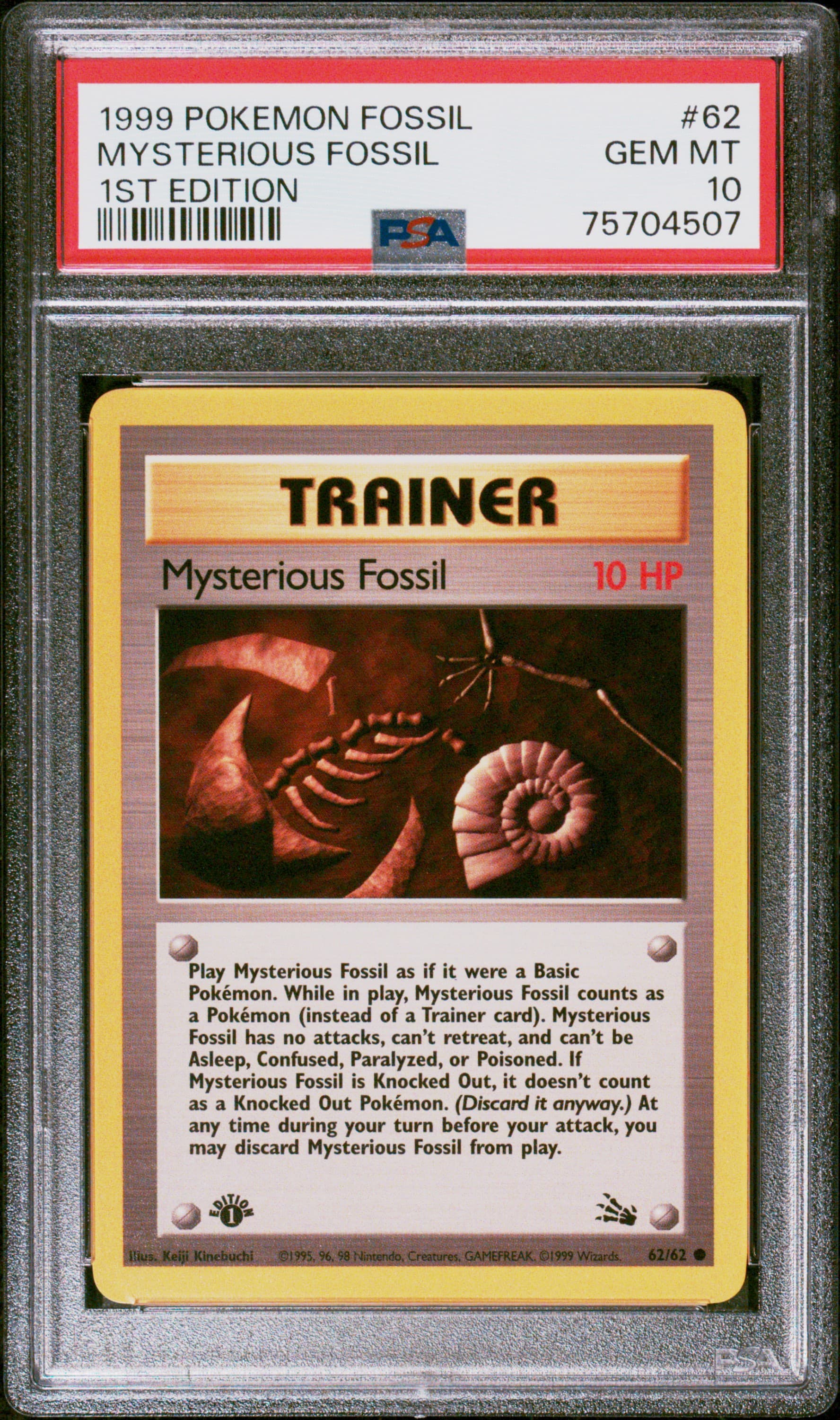 Mysterious Fossil 1st Edition
