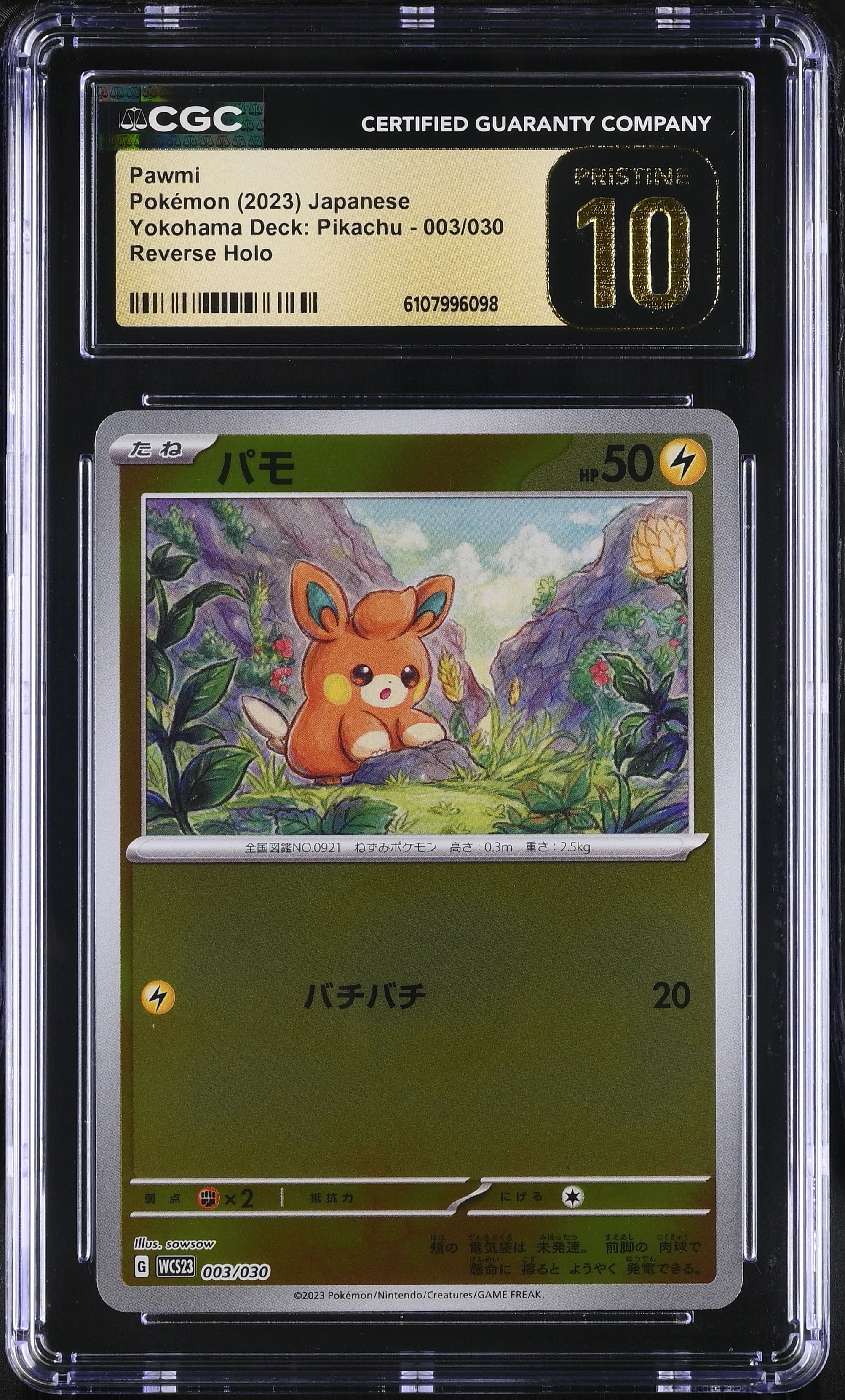 Pawmi Reverse Holo