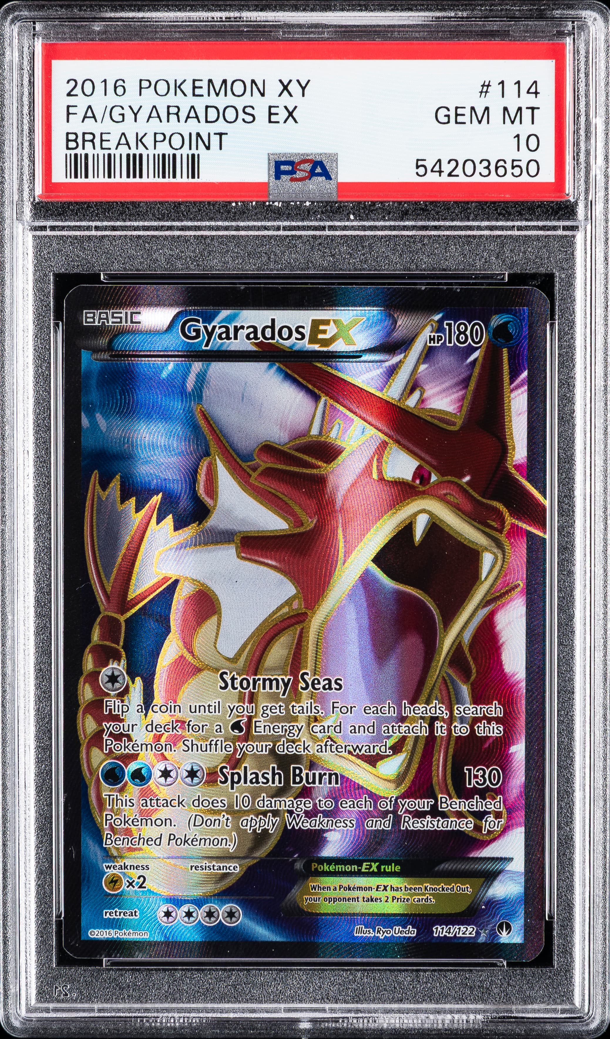 Full Art/Gyarados EX