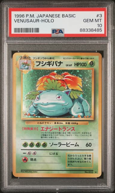 Venusaur-Holo