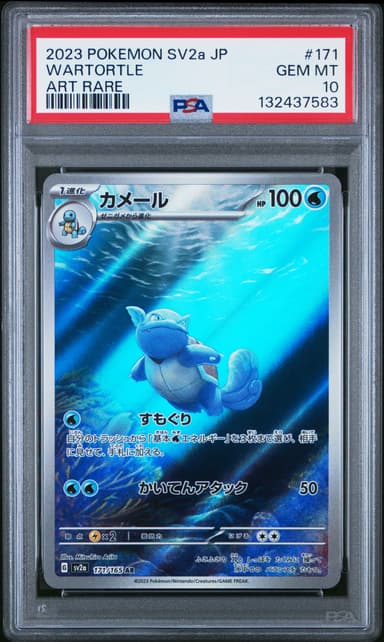 Wartortle