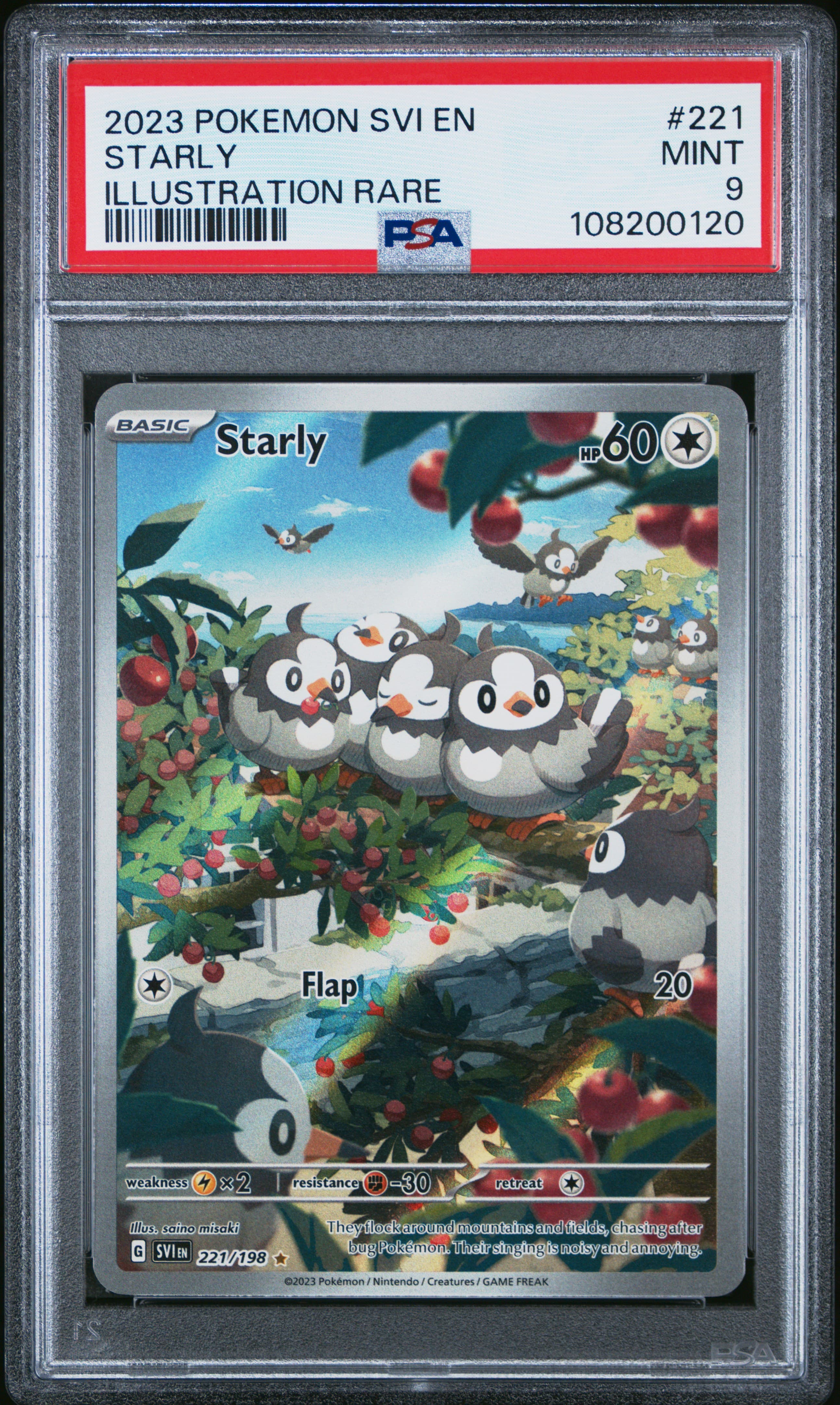 Starly