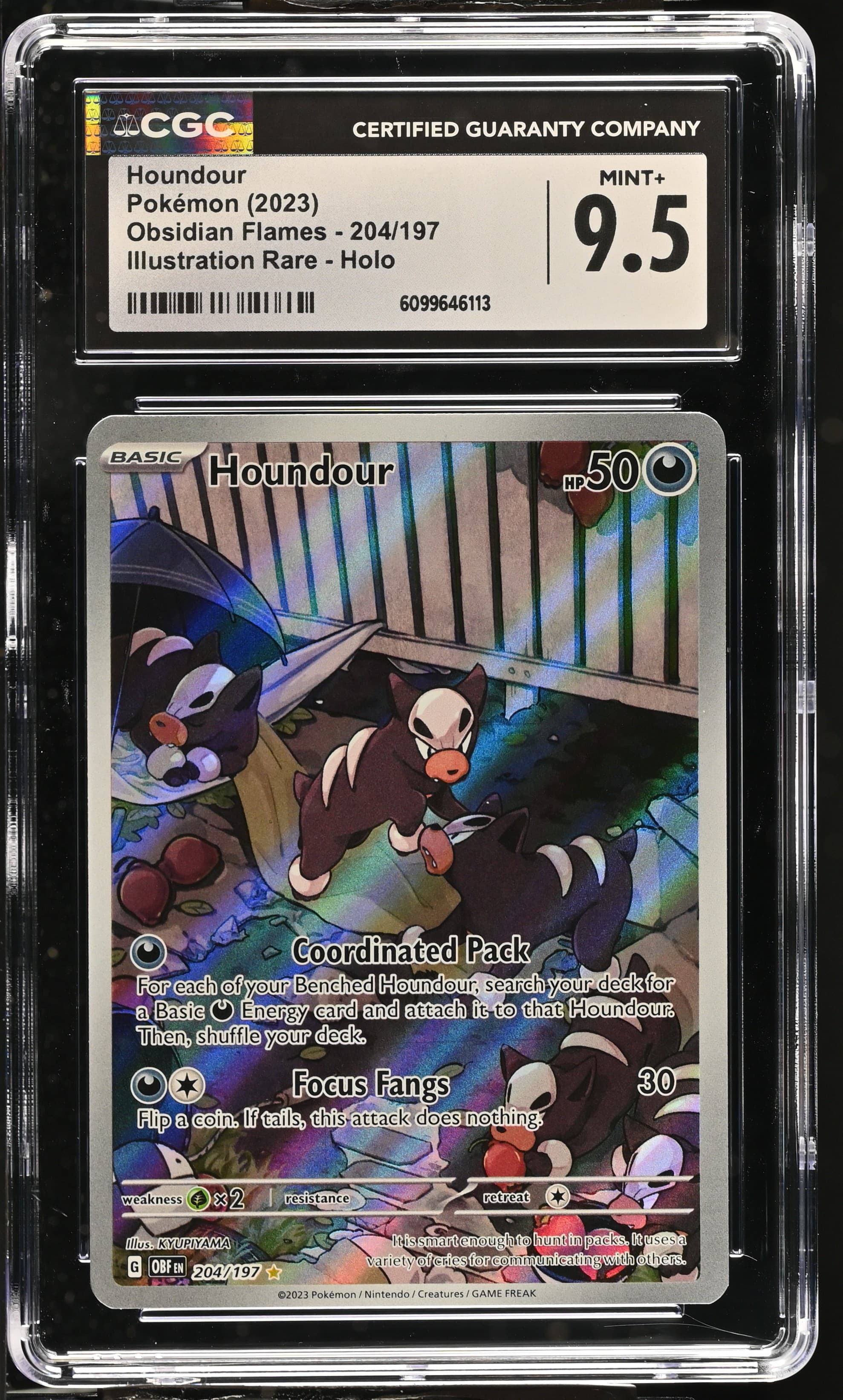 Houndour