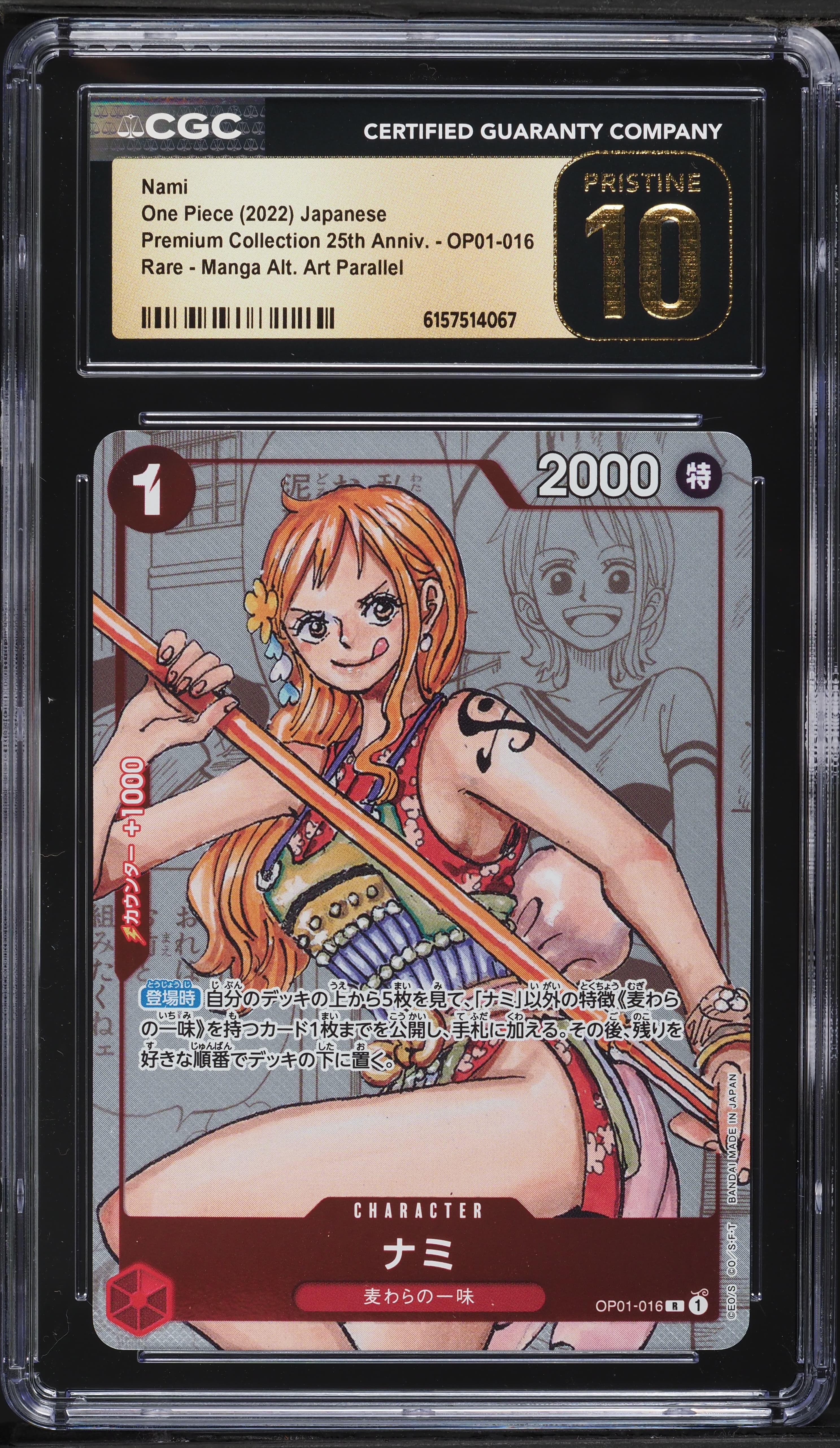 Art Nami