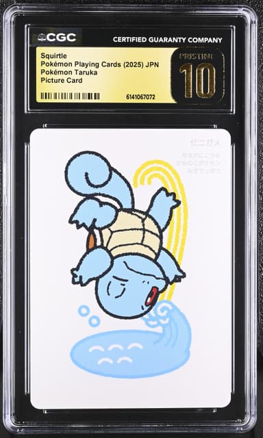 Squirtle