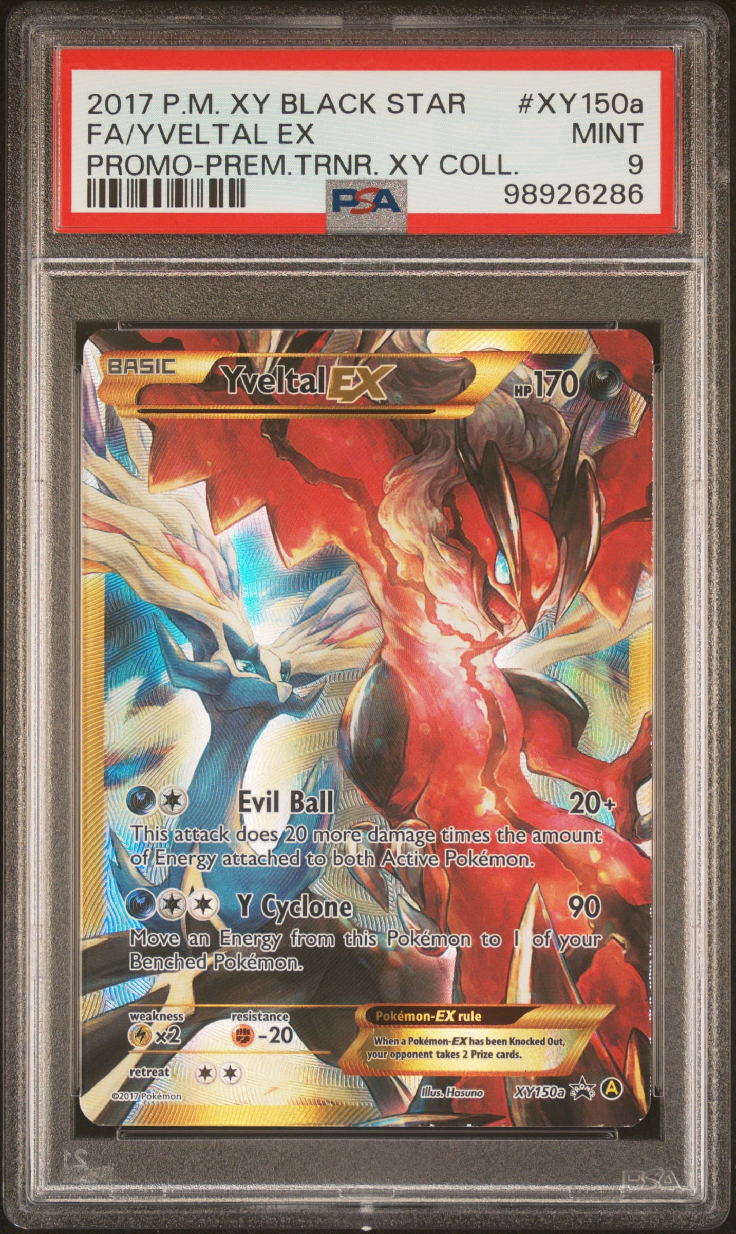 Full Art/Yveltal EX