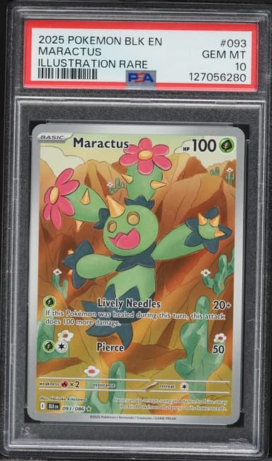 Maractus