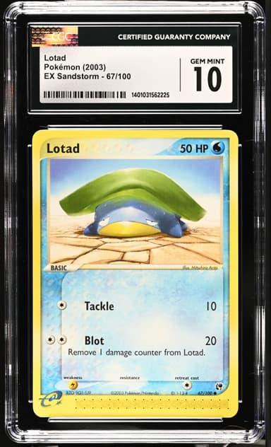 Lotad