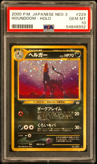 Houndoom-Holo