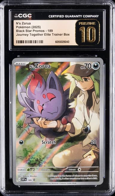 N's Zorua