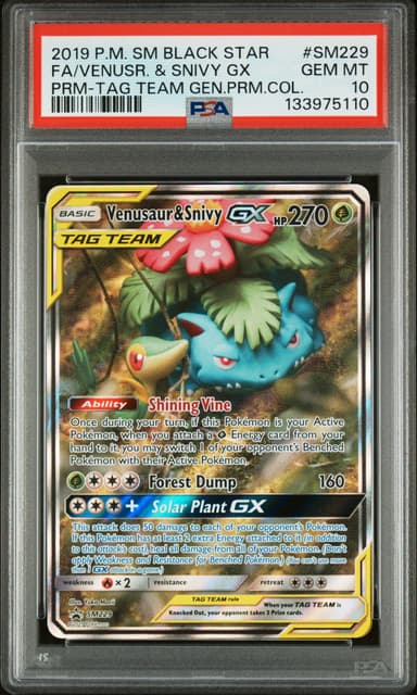 Full Art/Venusaur & Snivy GX