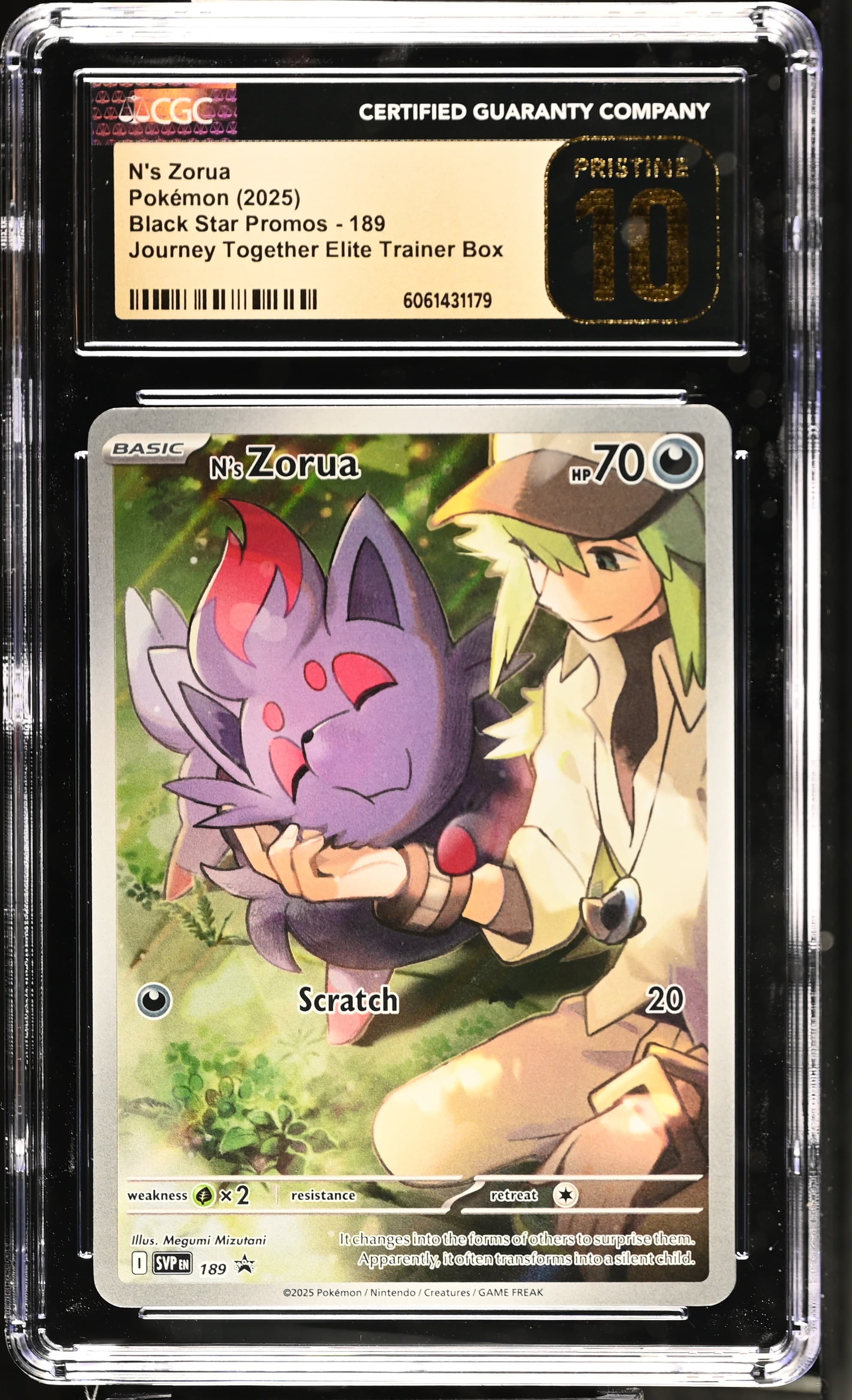 Black Star Promos - Scarlet & Violet SVP EN - English N's Zorua Journey Together Elite Trainer Box (Holo)
