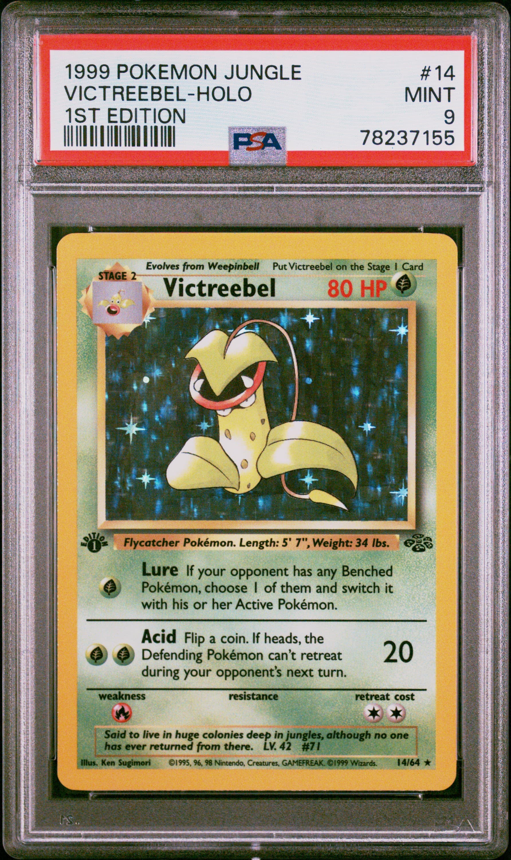 Victreebel-Holo 1st Edition