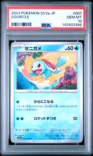 Squirtle