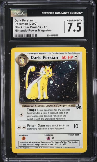 Dark Persian-Holo