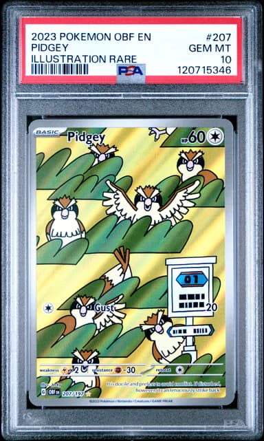 Pidgey