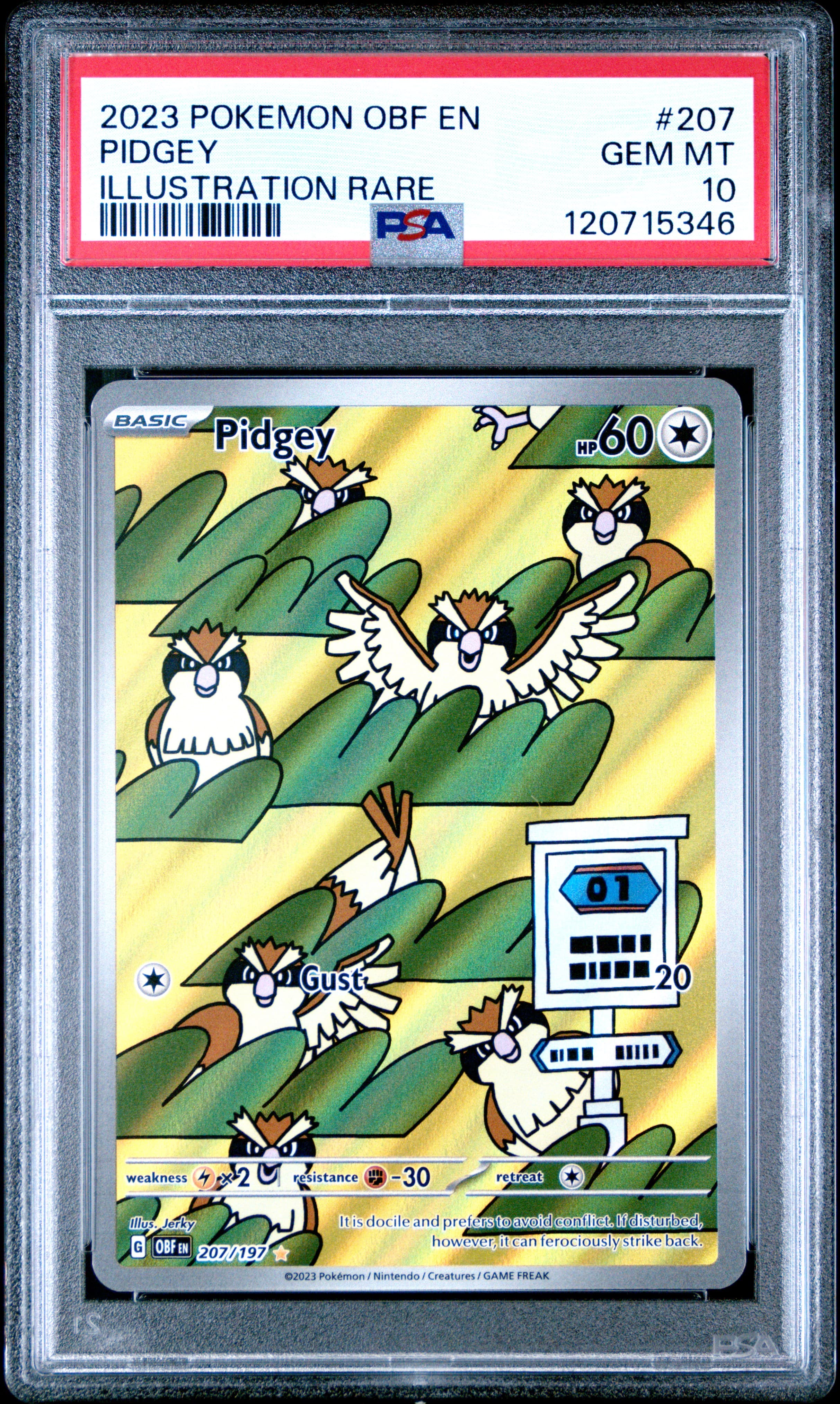 Pidgey