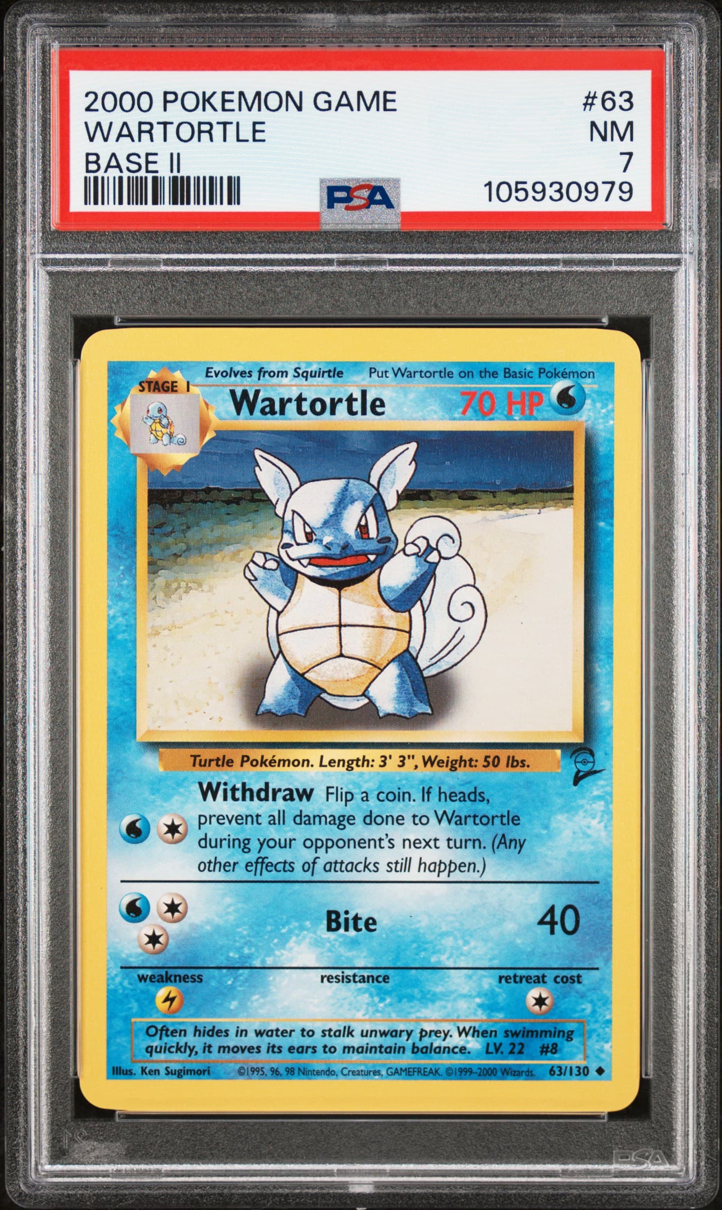 Wartortle