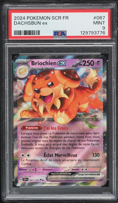 Dachsbun EX
