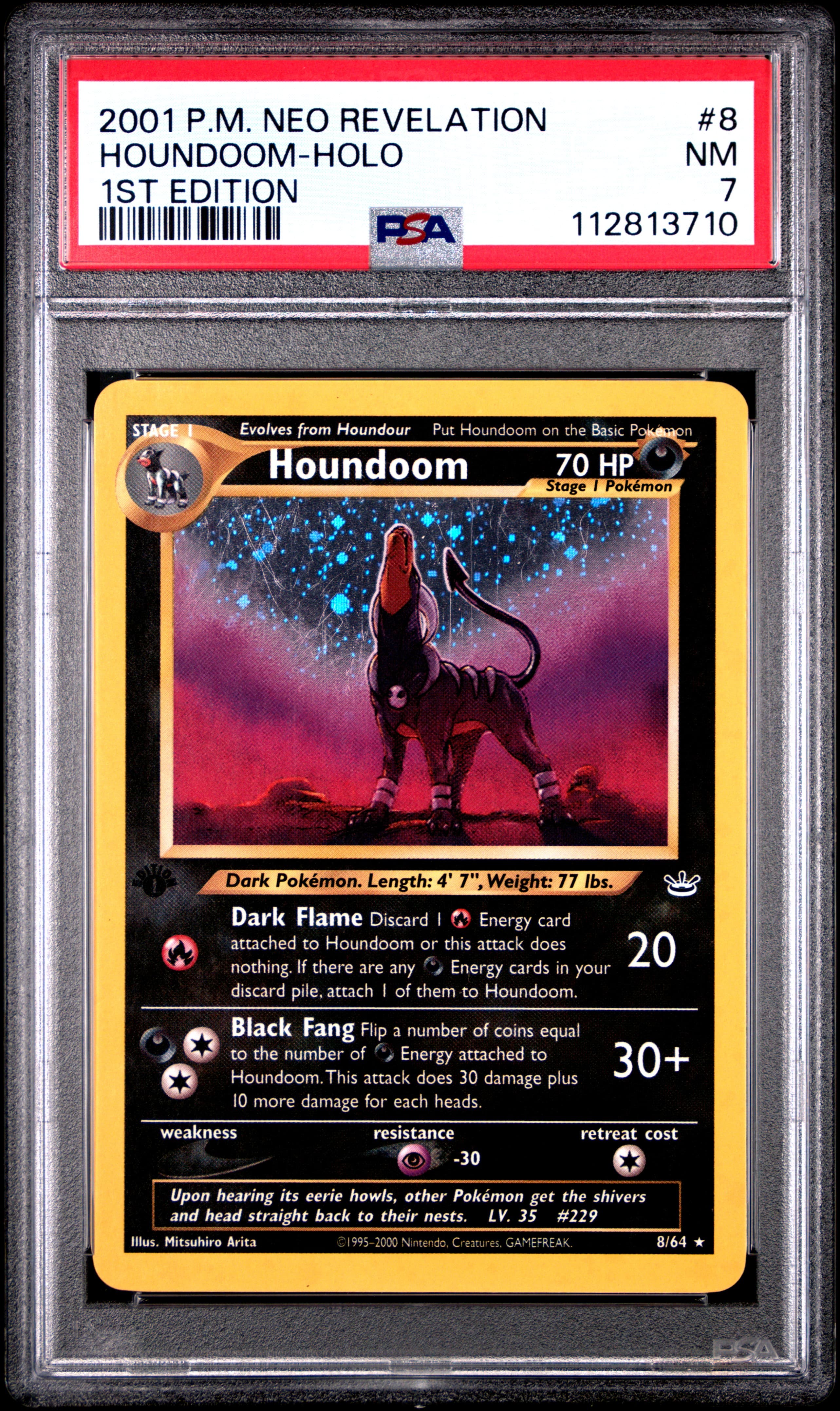 Houndoom-Holo 1st Edition