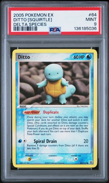 Ditto [Squirtle]