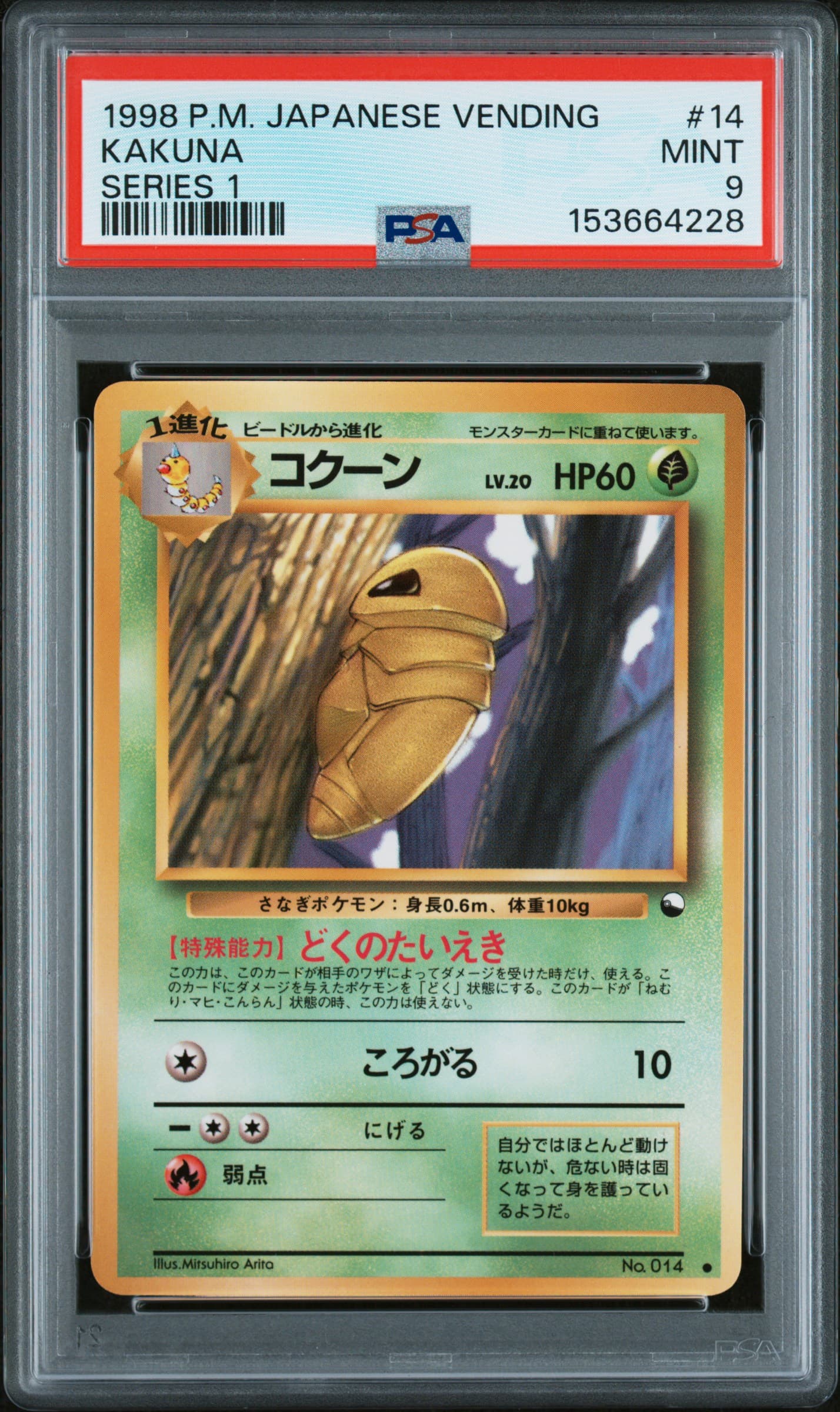 Kakuna