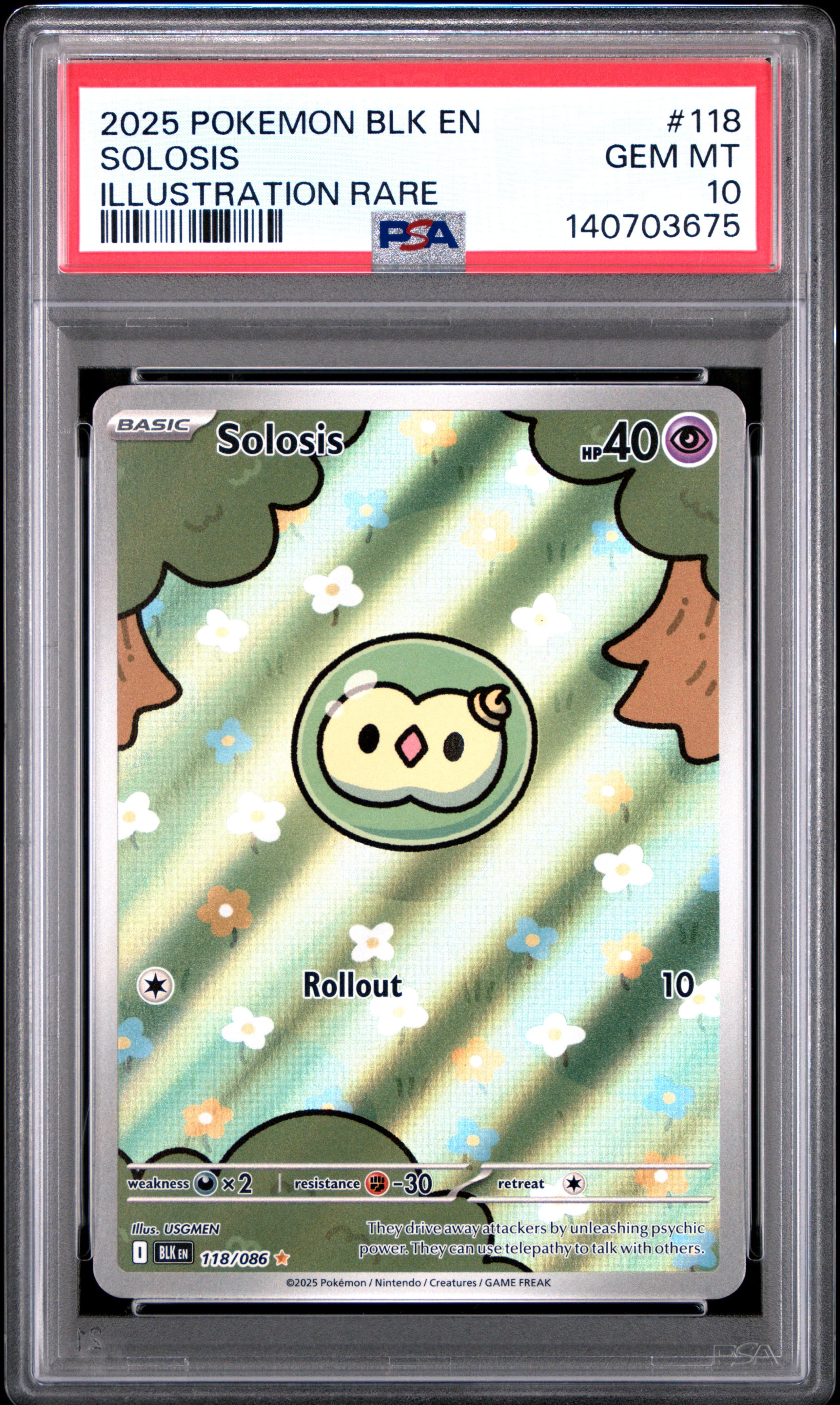 Solosis