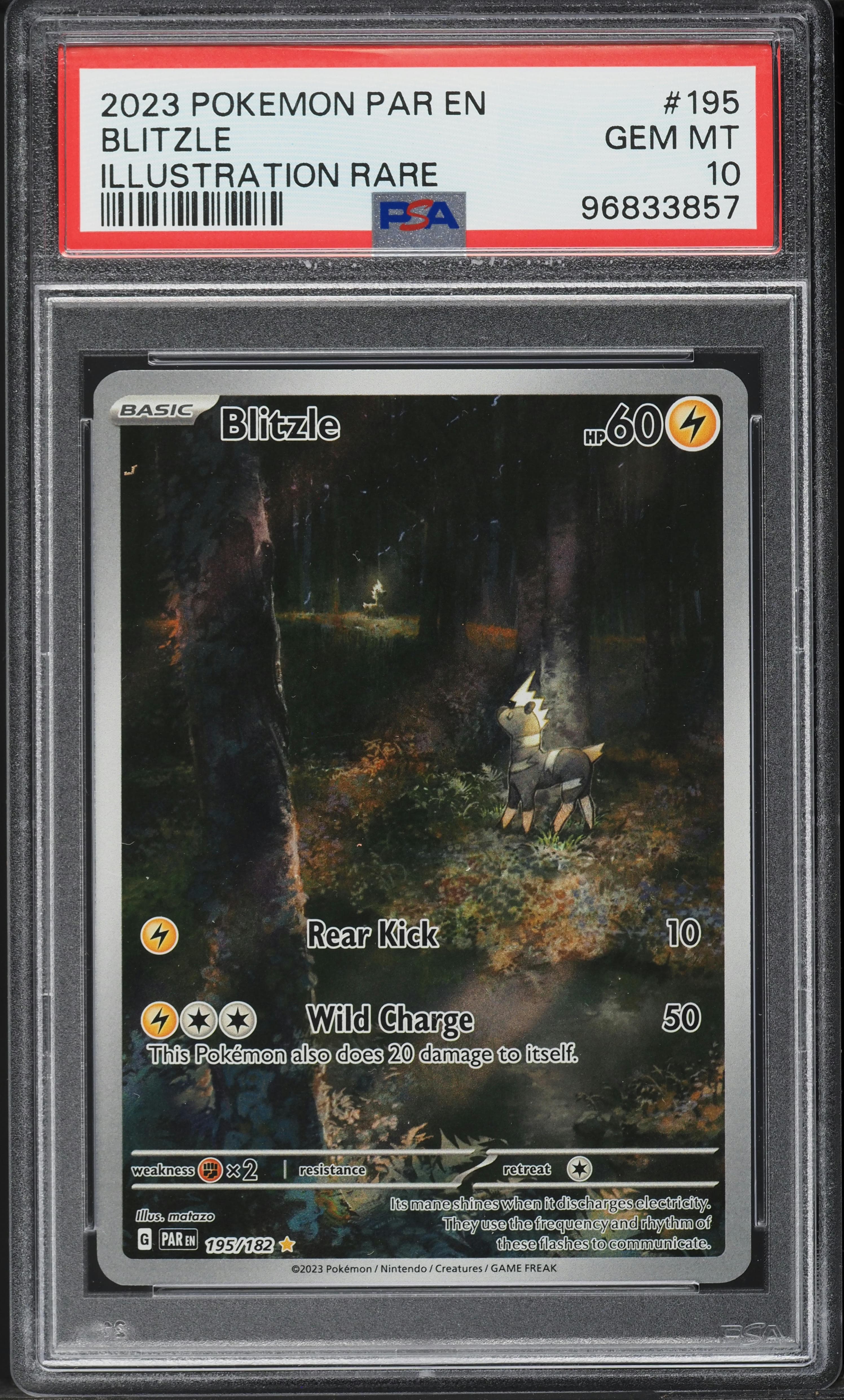 Blitzle