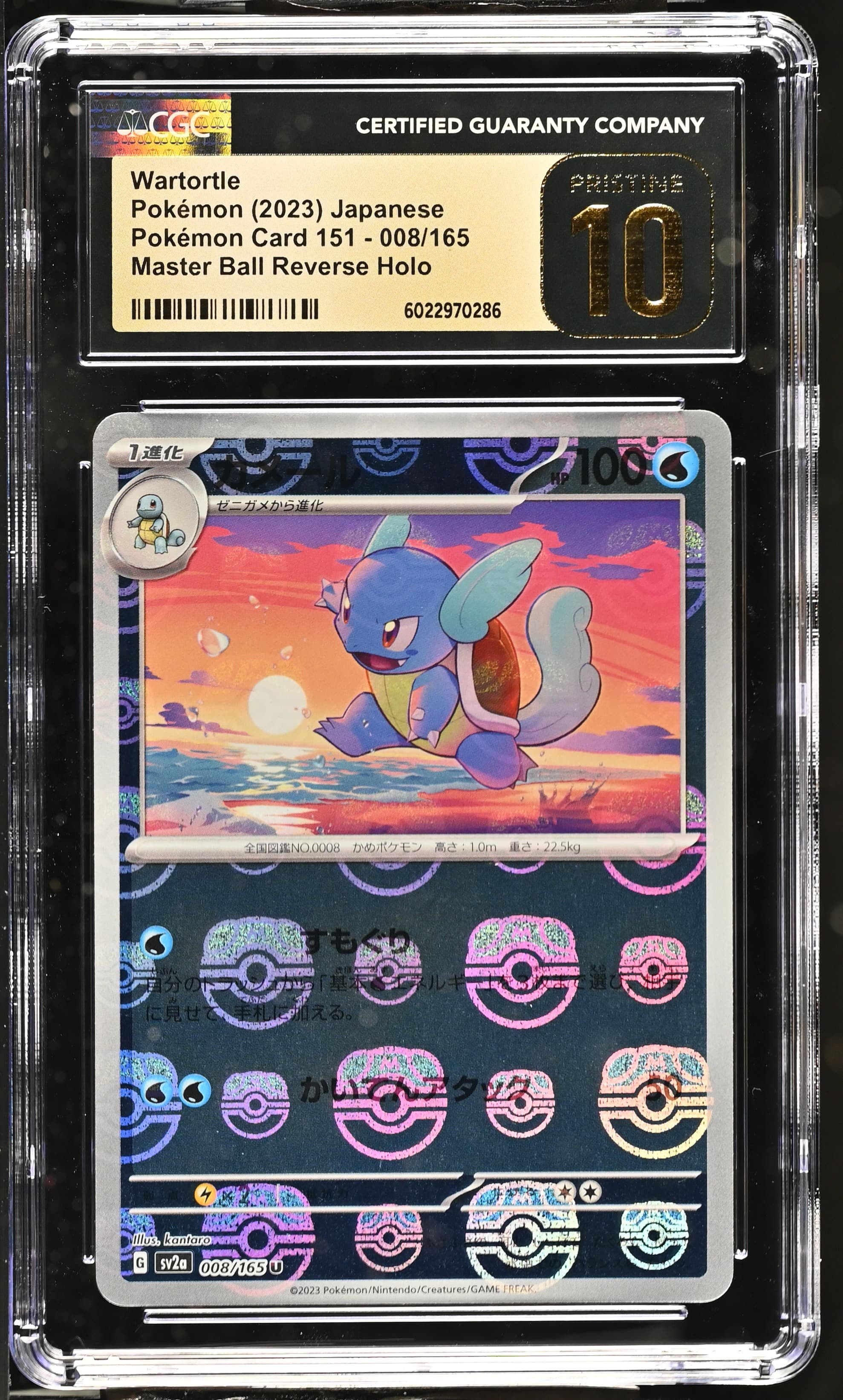 Wartortle Master Ball Reverse Holo