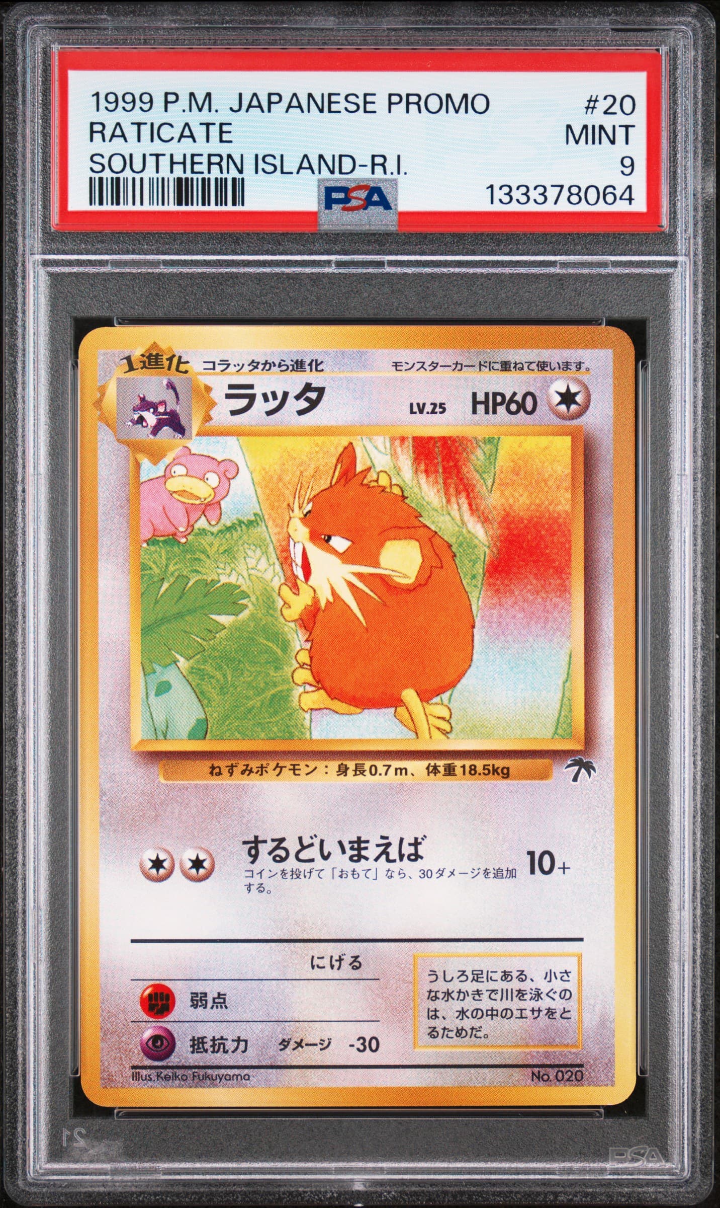 Raticate
