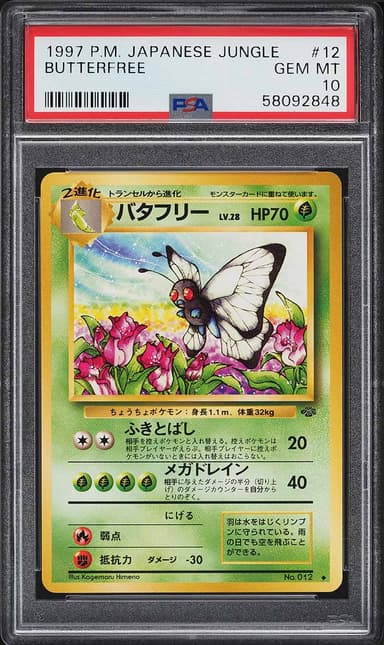 JAPANESE JUNGLE BUTTERFREE