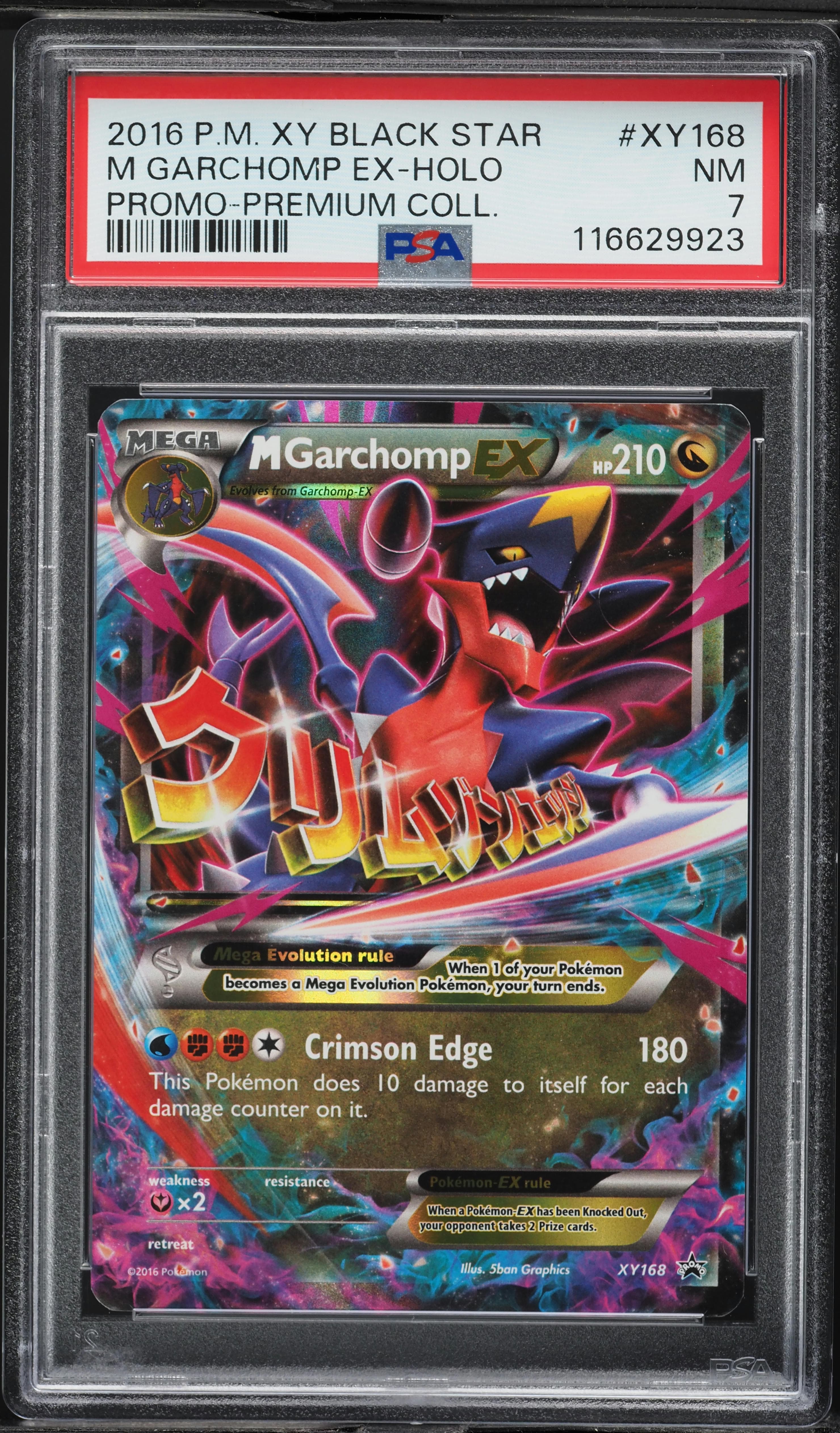 M Garchomp EX-Holo
