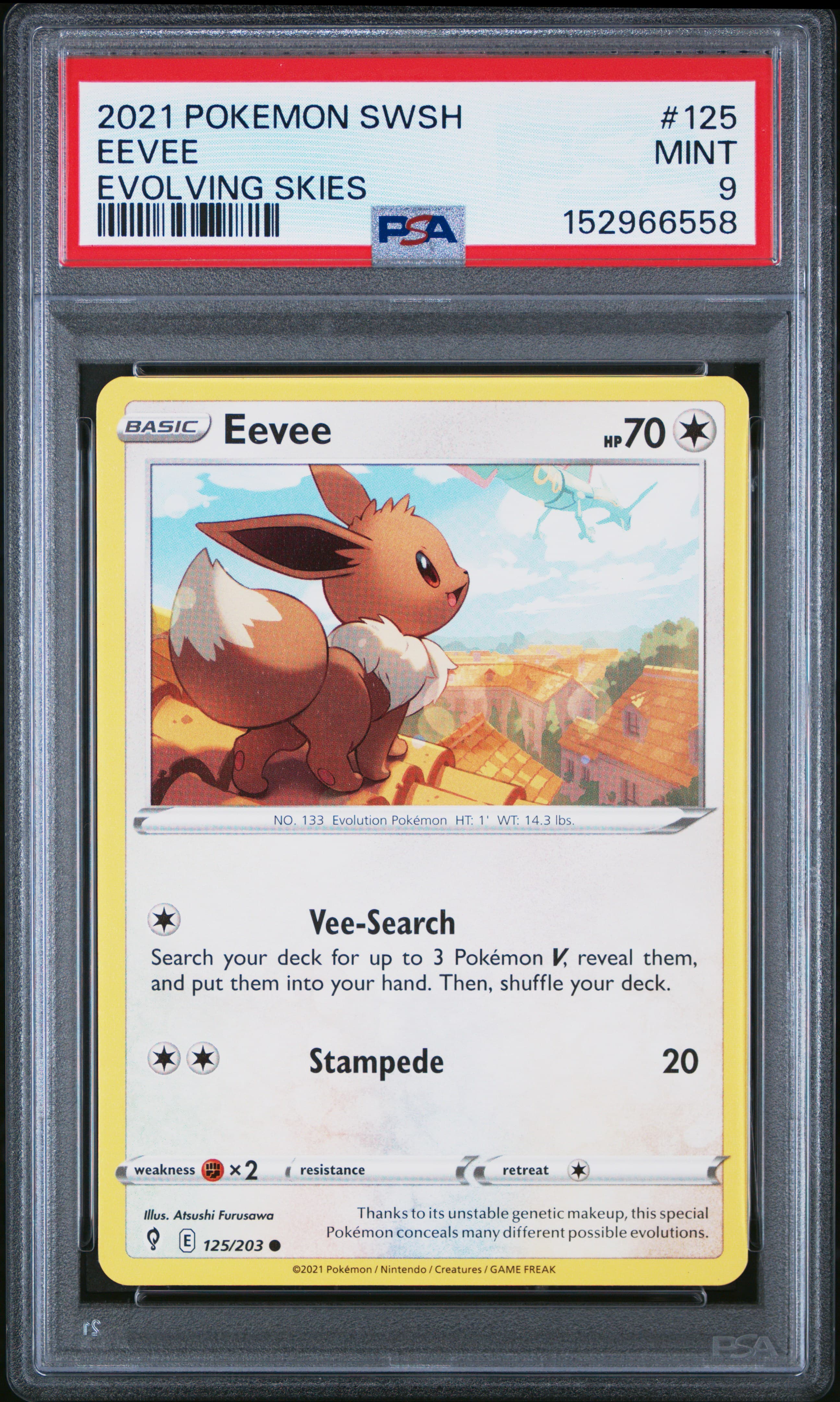 Eevee