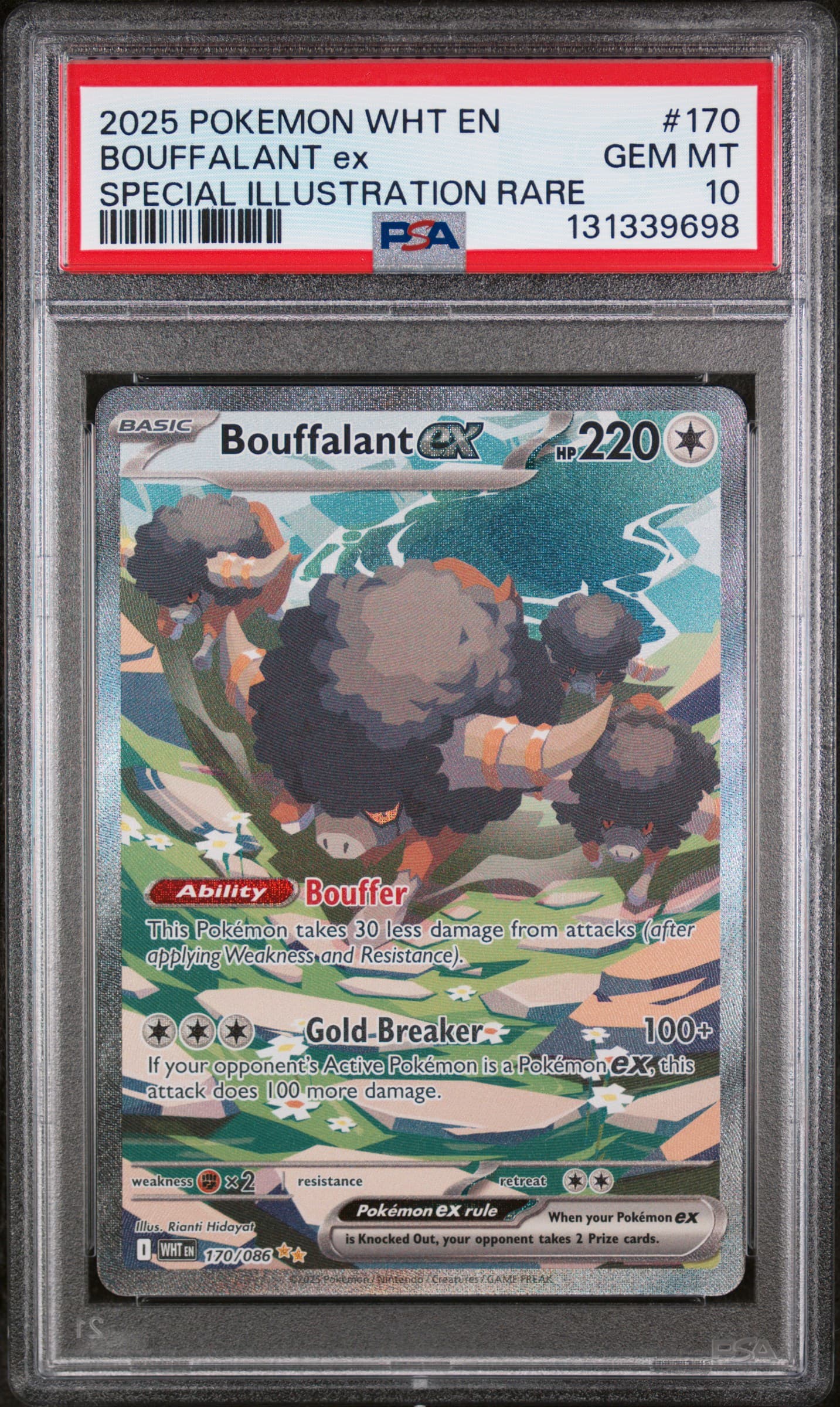 Bouffalant EX