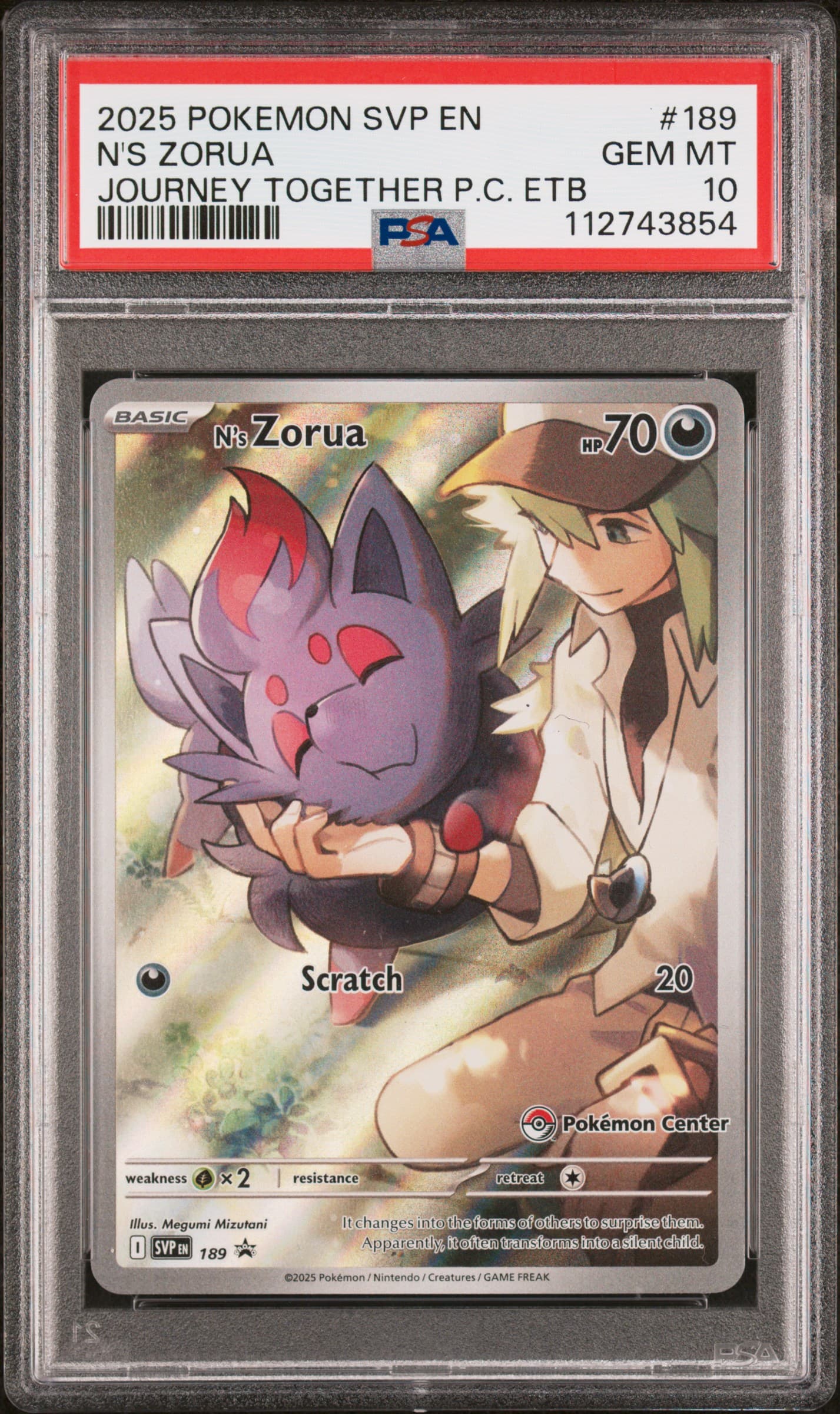 N's Zorua