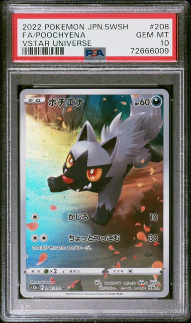 Full Art/Poochyena