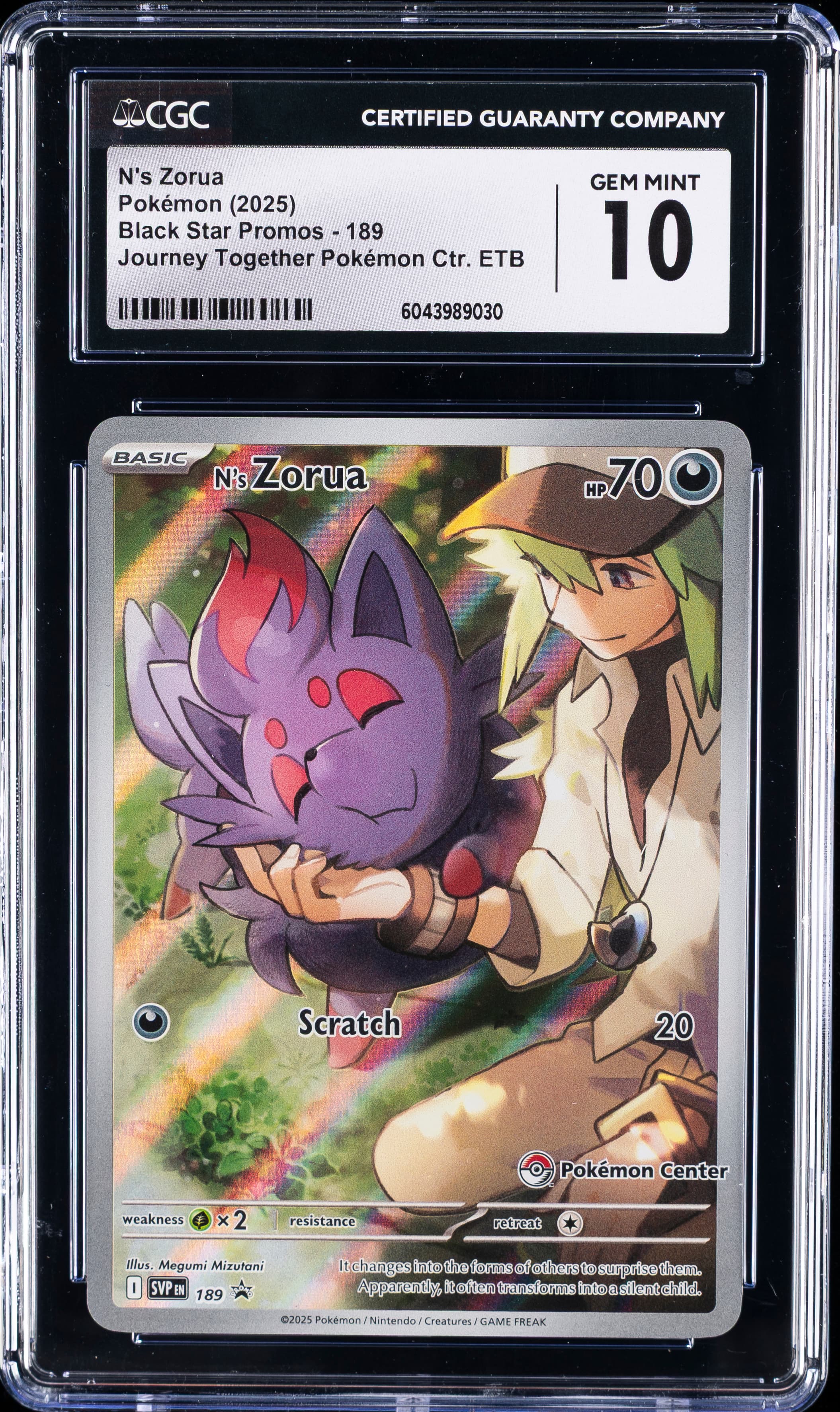 N's Zorua