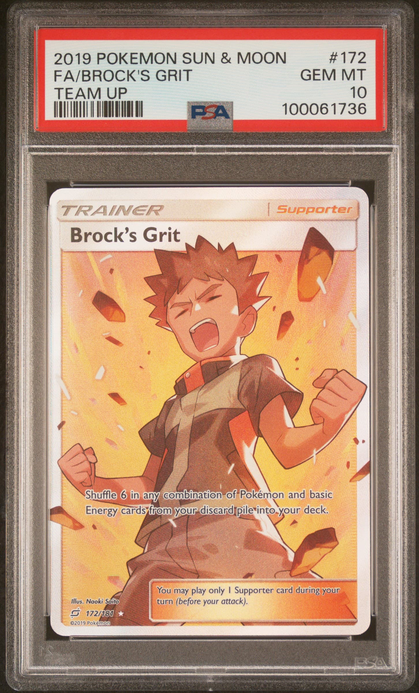 Full Art/Brock's Grit