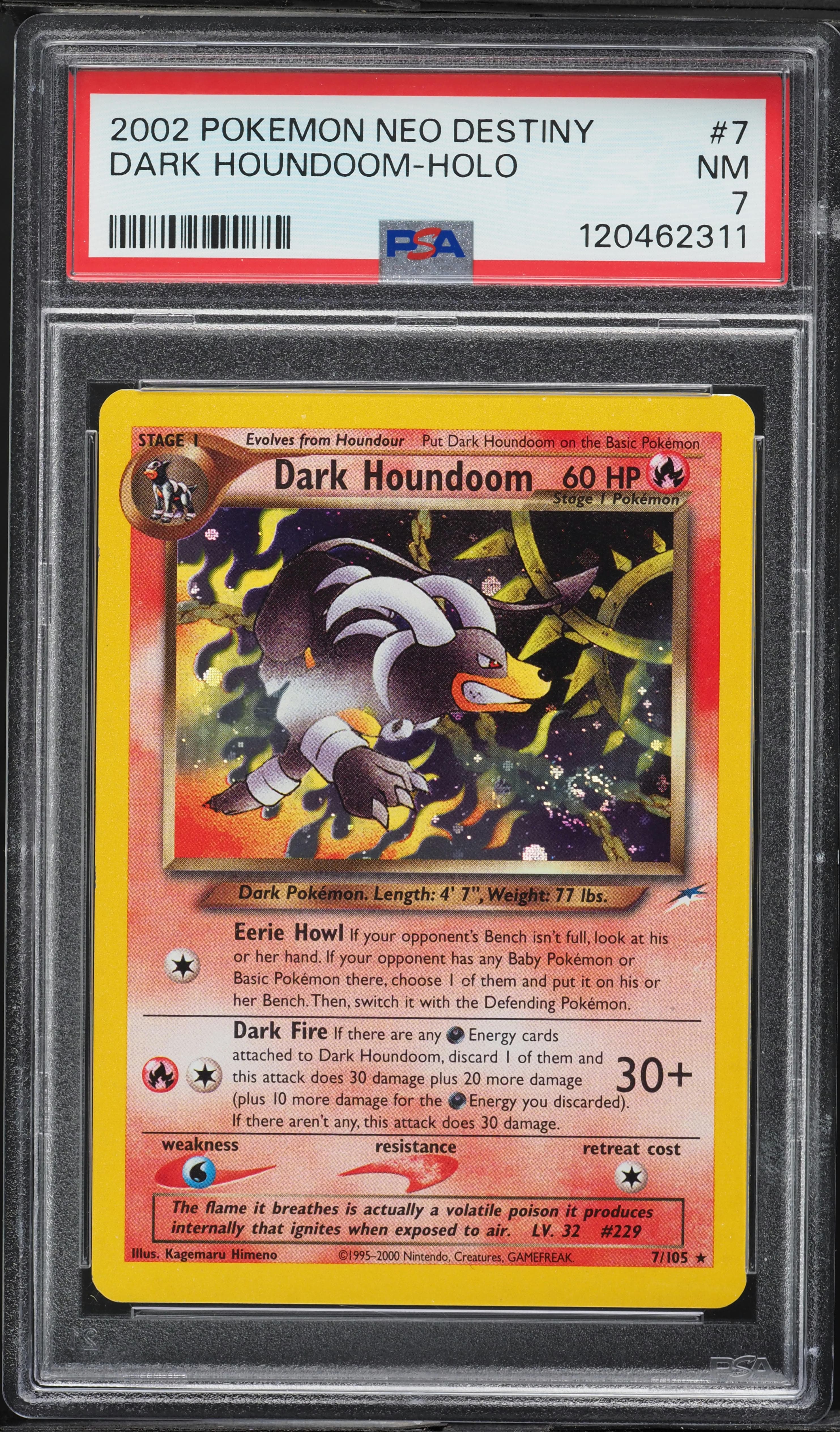 Dark Houndoom-Holo