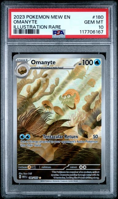 Omanyte