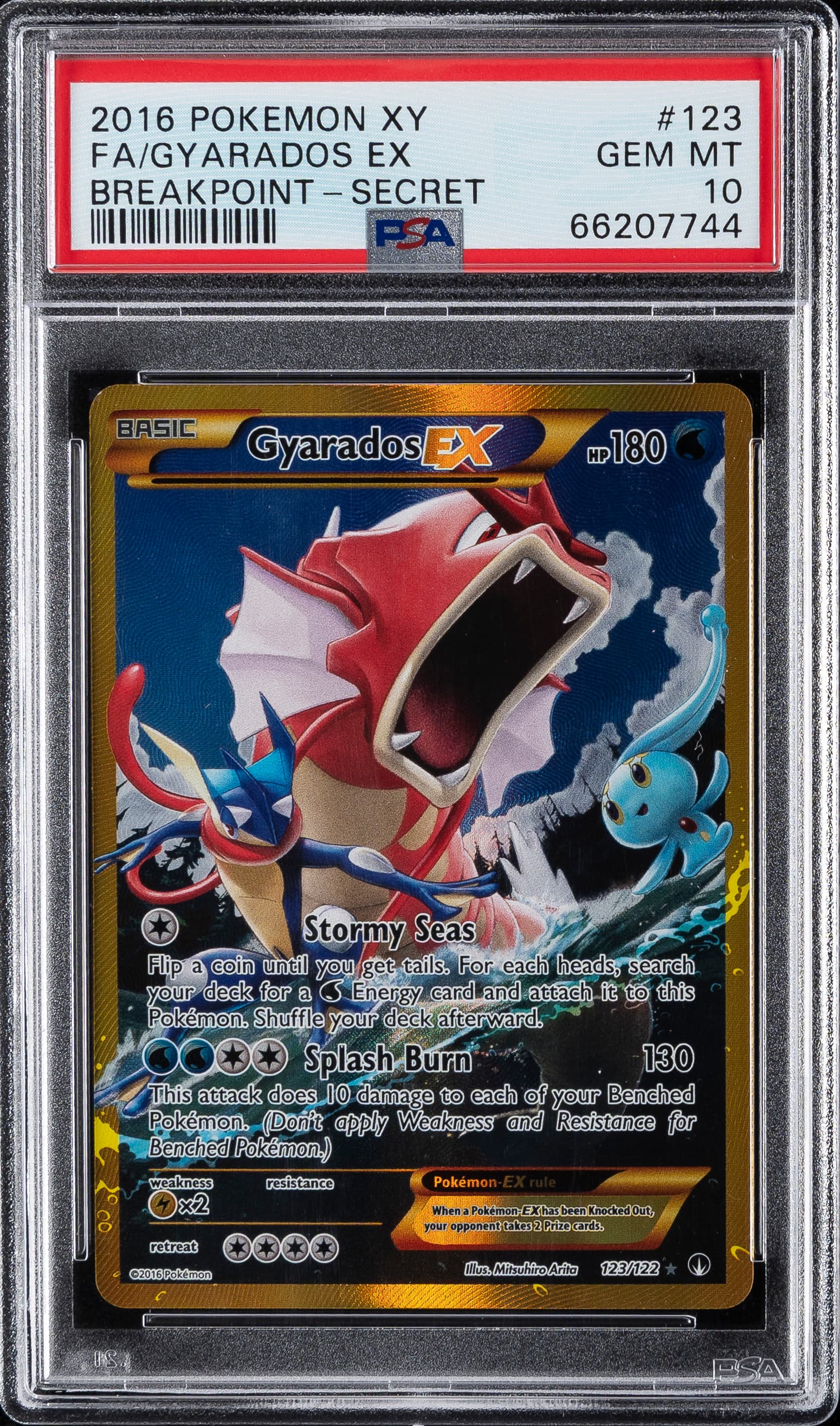 Full Art/Gyarados EX