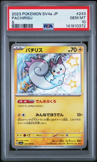 Pachirisu
