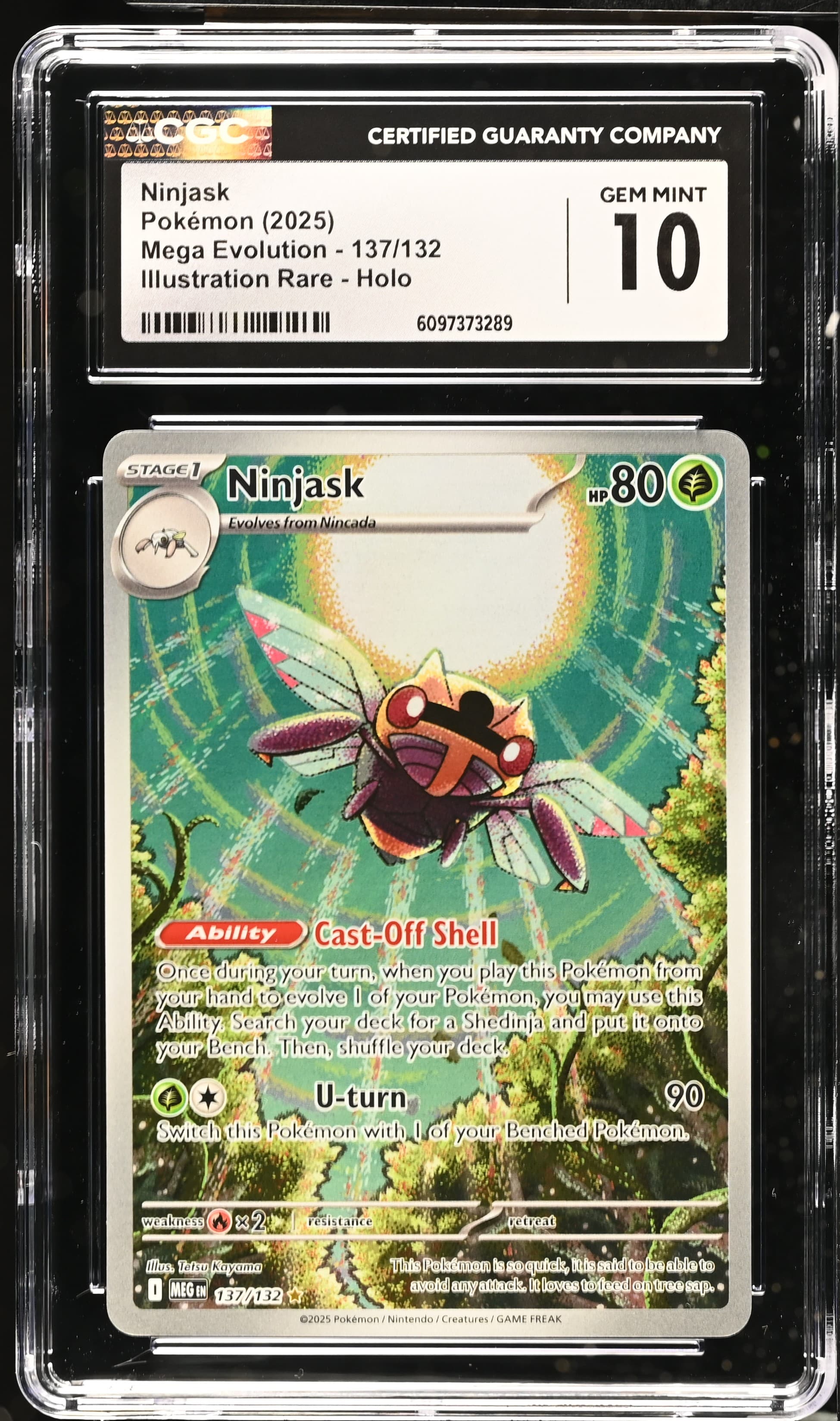 Ninjask